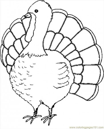 Turkey Coloring Pages Colored - Coloring
