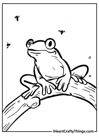 Frog Coloring Pages (Updated 2022)