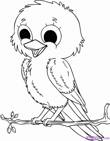 Coloring Pages: Funny Bird Coloring Pages Collections