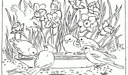 HD landscape coloring pages for adults In best coloring pages ...