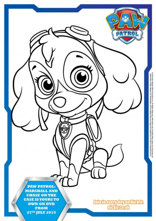 Paw Patrol Colouring Pages and Activity Sheets - In The Playroom