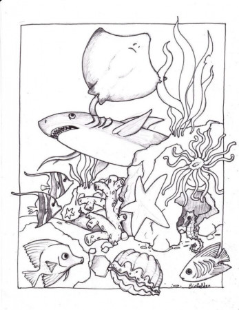 Free Printable Coloring For Kids Dolphin Animal Marine Life ...