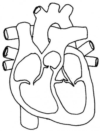 human-heart-coloring-pages-205 | Abe | Pinterest | Heart Diagram ...