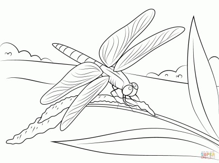 Dragonfly Sits on Stem coloring page | Free Printable Coloring Pages