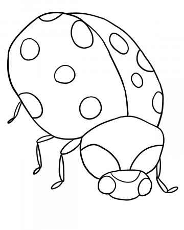 Ladybug Coloring Pages - GetColoringPages.com