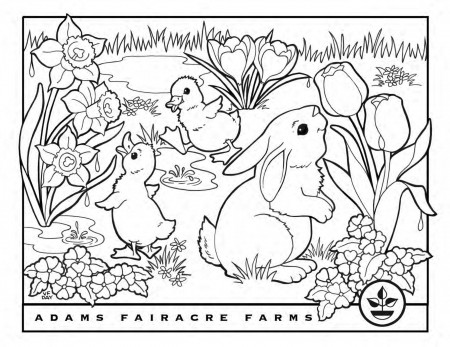 Easter Coloring Pages | Adams Fairacre Farms