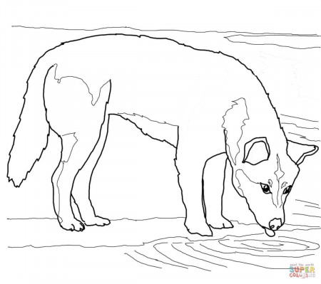Dingo coloring pages | Free Coloring Pages