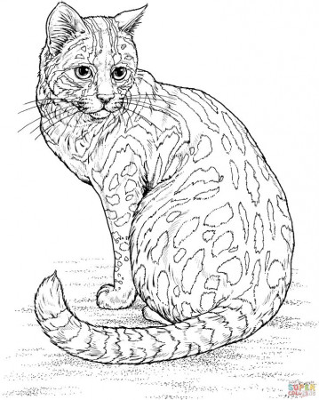 Realistic Cat coloring page for kids, animal coloring pages printables free  - Wuppsy.com | Cat coloring page, Animal coloring books, Animal coloring  pages