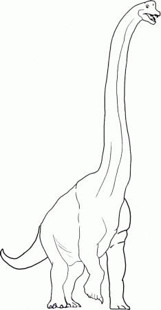 11 Pics of Long Neck Dinosaur Coloring Pages Printable - Long Neck ...
