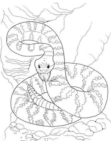 Printable Snake Coloring Pages | Coloring Me