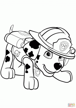 Paw Patrol Marshall Puppy coloring page | Free Printable Coloring ...