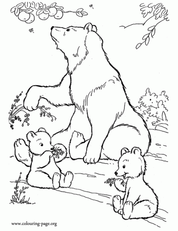 Bears - Mother bear and cubs eating fruits coloring page