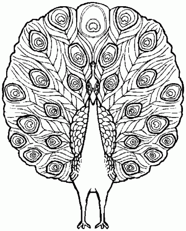 peacock-coloring-pages-350.jpg