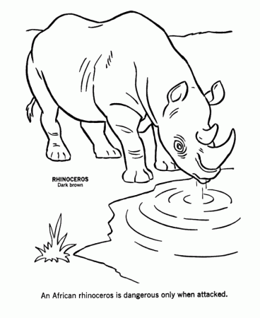 Wild Animal Coloring Pages | African Rhinoceros Coloring Page and 