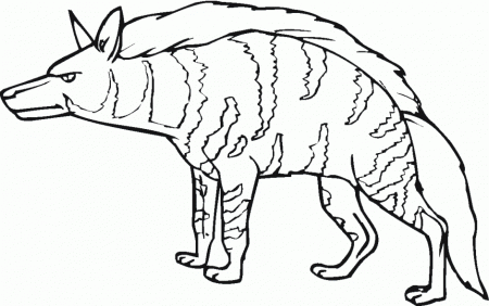 Striped Hyena Coloring Online Super Coloring 269535 Hyena Coloring 