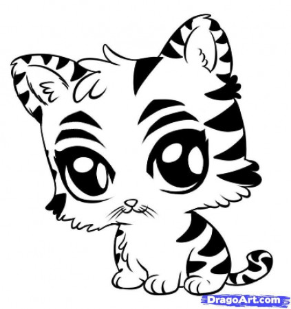 How to Draw a Cute Tiger, Step by Step, safari animals, Animals 