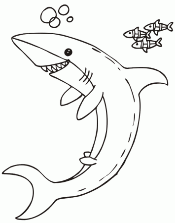 Shark Coloring Page | Shark & Little Fish