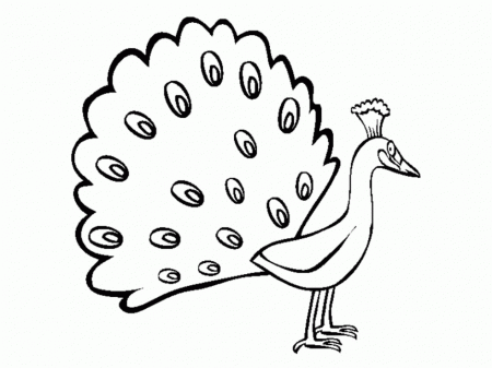 Princess And Peacock Princess Coloring Pages Coloring Pages 135630 