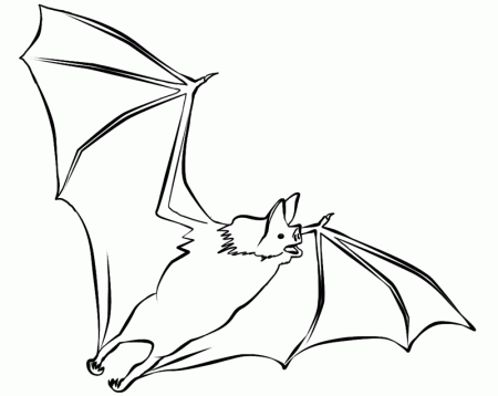 Bat Coloring