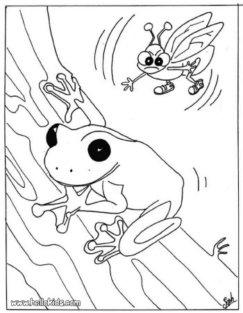 FROG coloring pages - Frog catching a fly