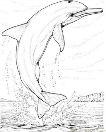 Coloring Pages Dolphin Jump Coloring Page (Mammals > Dolphin 