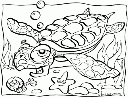 Animal Coloring Turtles Coloring Pages Turtle : turtle coloring 