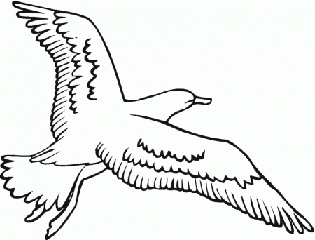 Vector Of A Cartoon Flying Gull Outlined Coloring Page Drawing 