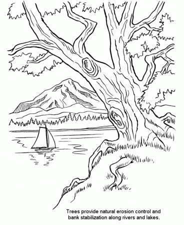 Arbor Day Coloring Pages - Riverbank trees Coloring Pages 