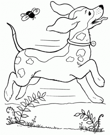 Dog Running Coloring Pages - Kids Colouring Pages