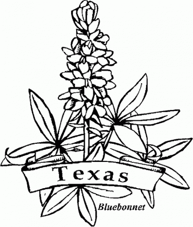 Wyoming State Flower Coloring Page