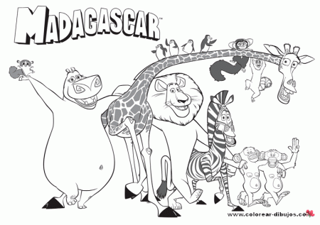 Раскраски из мультфильма Мадагаскар. Алекс, Марти, Мелман. Скачать 