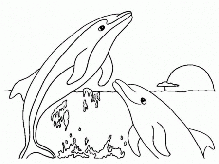 Printable Dolphin Coloring Pages Printable Dolphin Colouring 