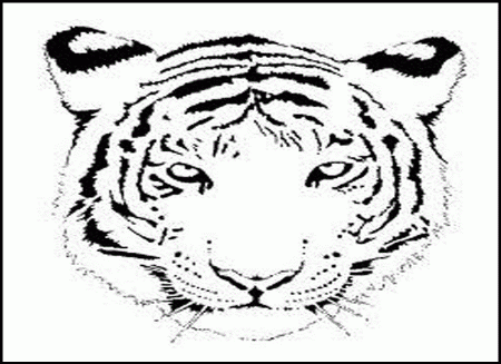 Free Printable Tiger Coloring Pages