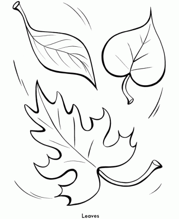 easy shapes coloring pages printable fall leaves