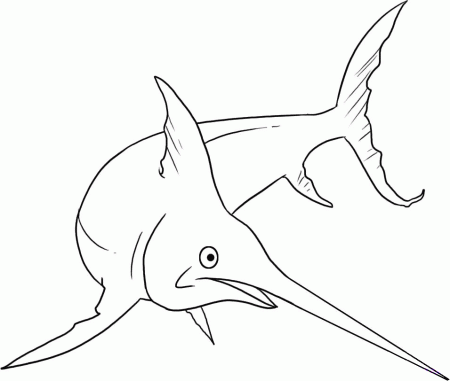 Swordfish coloring page - Animals Town - animals color sheet 