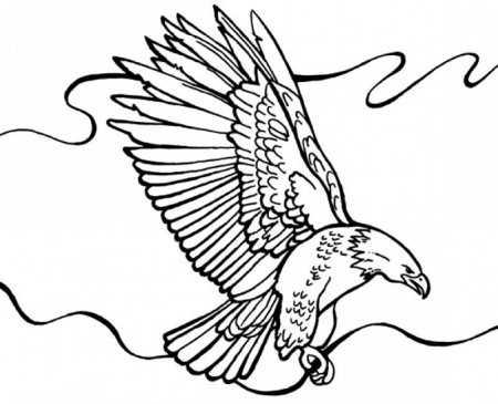 bald-eagle-coloring-page-371js693 - HD Printable Coloring Pages