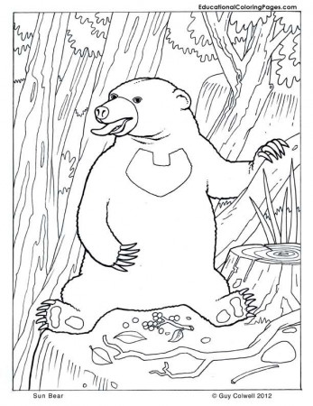 Mammals Book Three Coloring Pages | Animal Coloring Pages for Kids