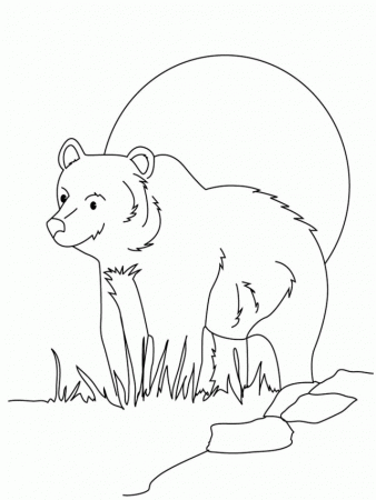 Grizzly Bear Coloring Pages Printable For Kids Id 55641 296538 
