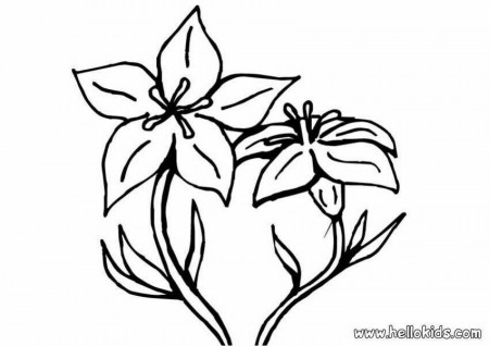 Cartoon Lily Flower Images & Pictures - Becuo