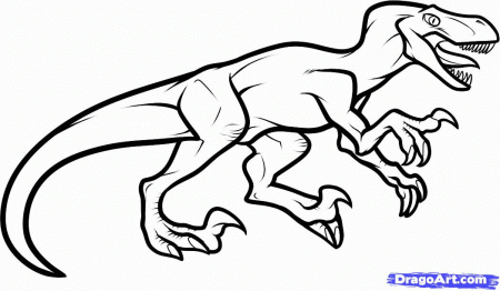Draw a Velociraptor Dinosaur, Step by Step, Drawing Sheets, Added 