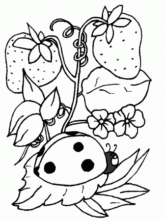 Animals Insects coloring pages. List