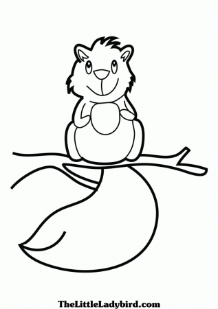 Cute Squirrels Coloring Pages | Coloring Pages
