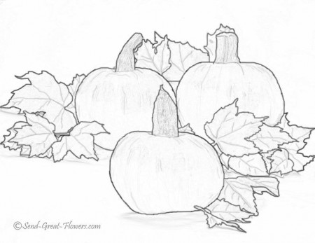 Free Fall Coloring Pages With Full Color Guides
