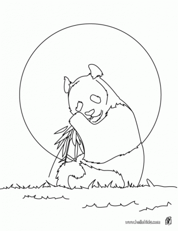Giant Panda Coloring Pages | 99coloring.com