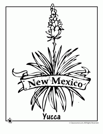 new mexico yucca flower Colouring Pages