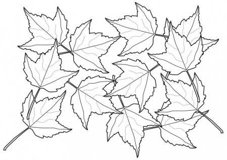 Coloring page leaves - img 20553.