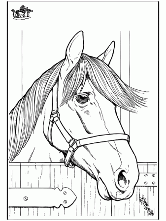 Funnycoloringcom Animals Coloring Pages Horses Horse Head 2