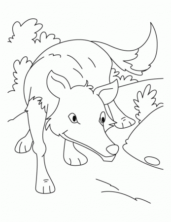 Wolf ready to hunt coloring pages | Download Free Wolf ready to 