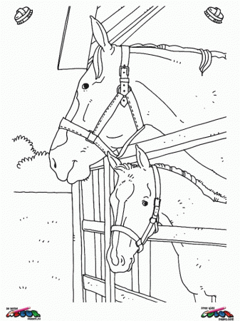 Wild Horse Coloring Sheets