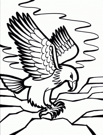 E For Eagle Coloring Pages For Kids 177590 Coloring Pages Of Eagles